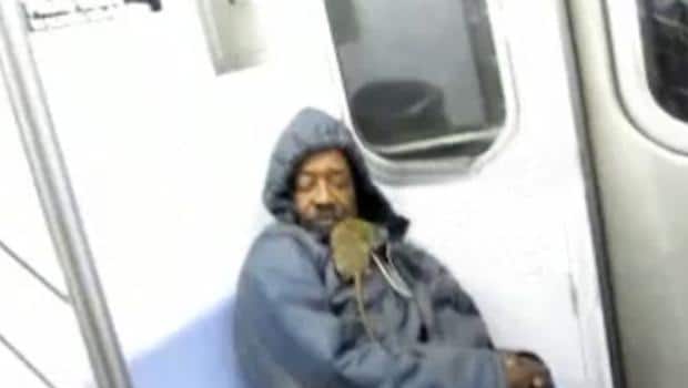 rat-on-subway}