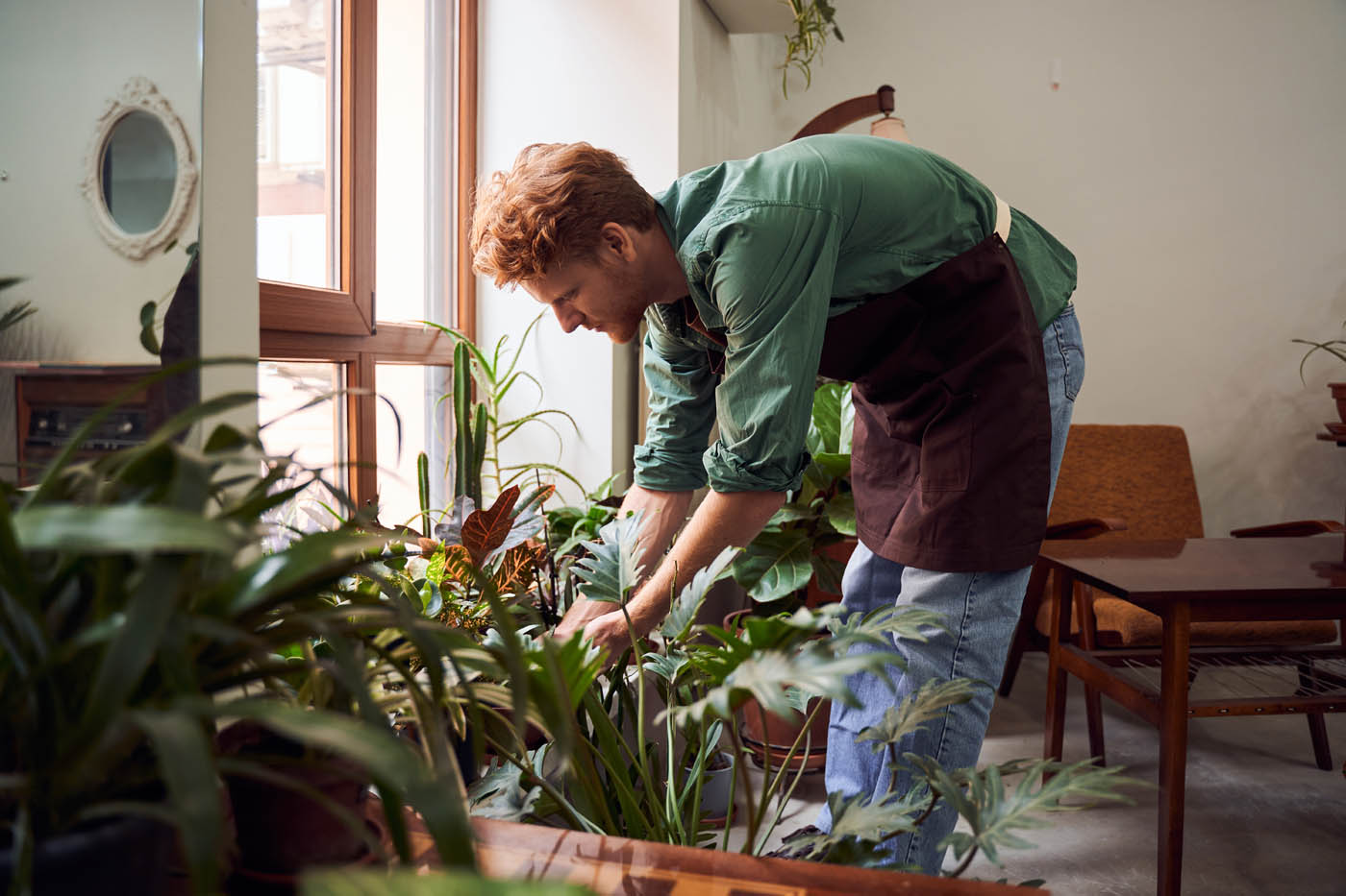 A person tending to their plants in a pest-free home - hire Rest Easy, a trusted roach exterminator, to restore your peace of mind.