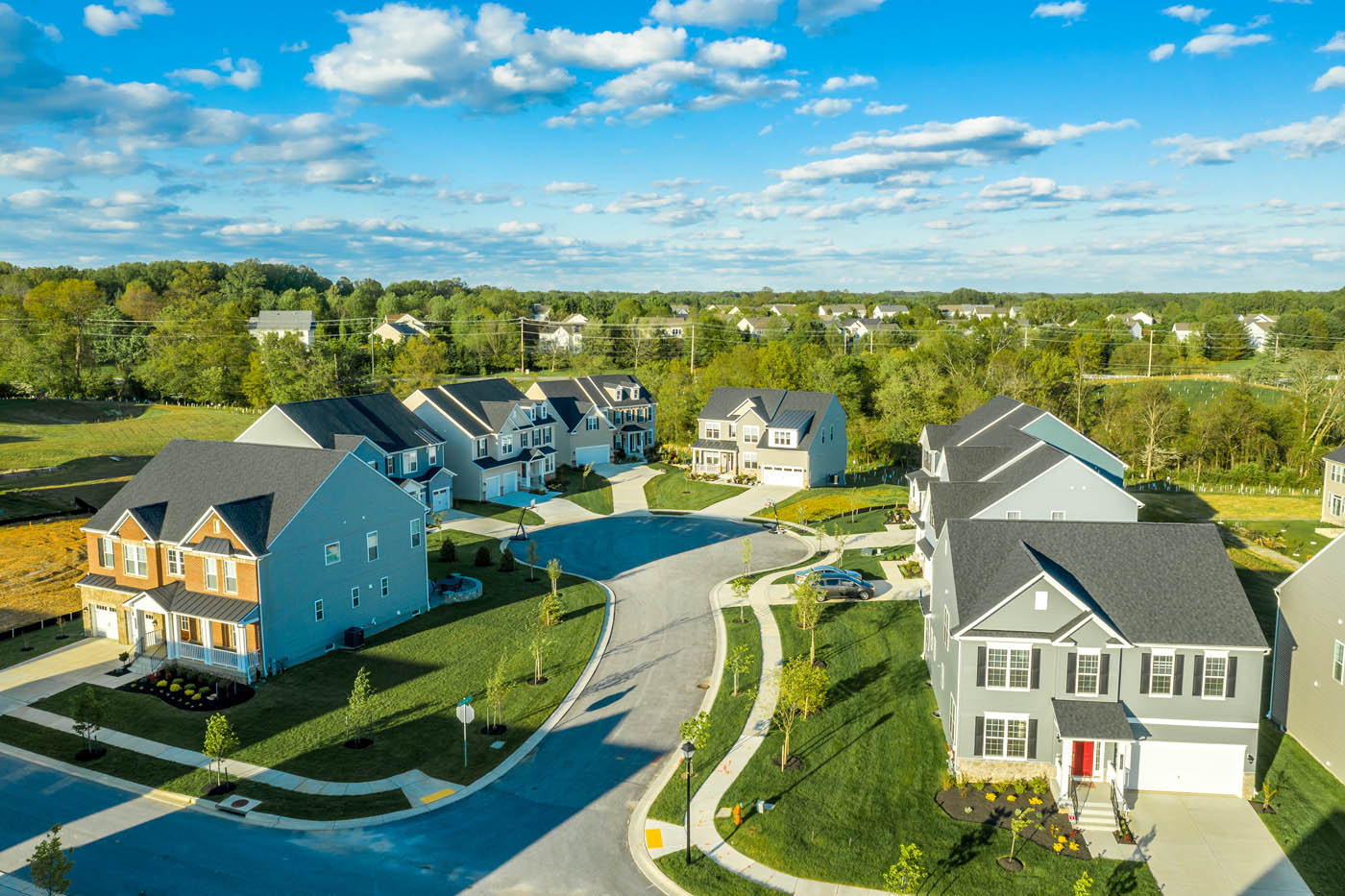 A long shot of a neighborhood in need of pest control from Rest Easy Pest Control.